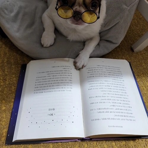 프로필 이미지