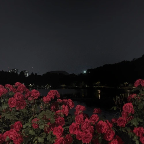 프로필 이미지
