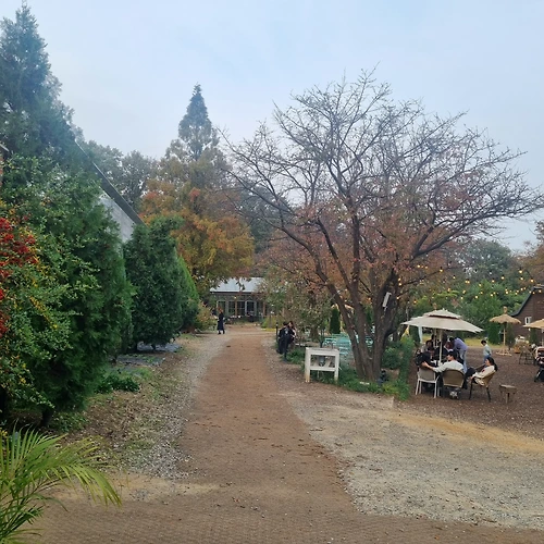 프로필