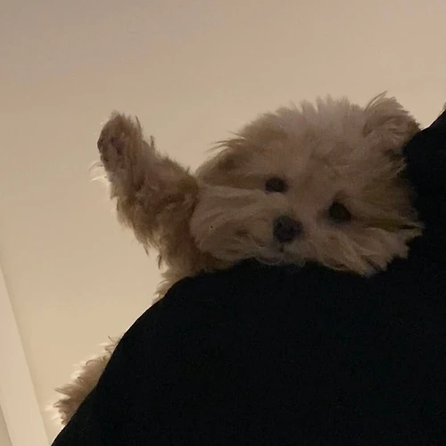프로필 이미지
