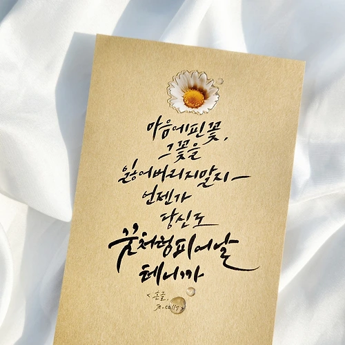 프로필 이미지
