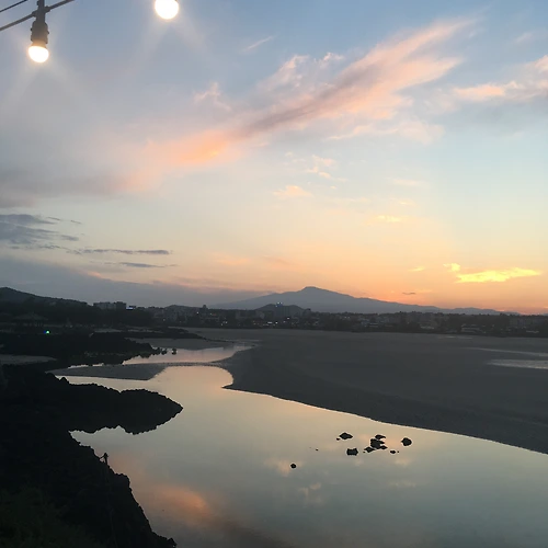 프로필