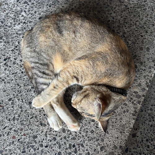 프로필 이미지