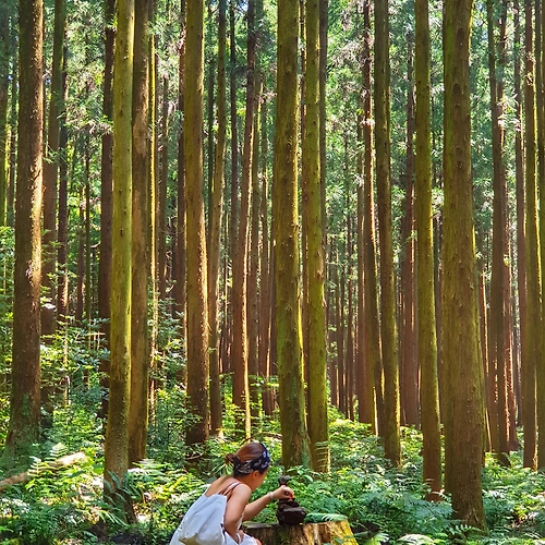 프로필 이미지
