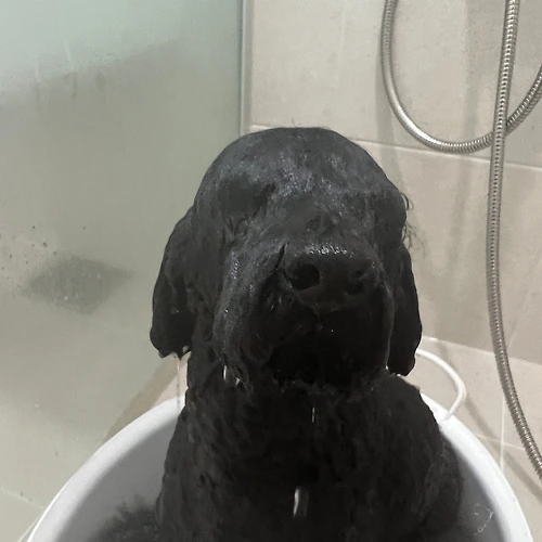 프로필 이미지