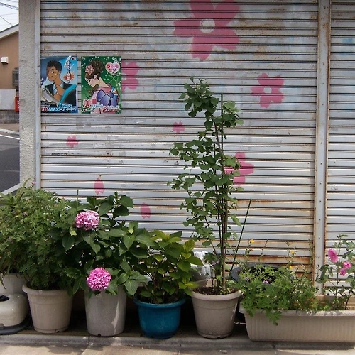 프로필 이미지