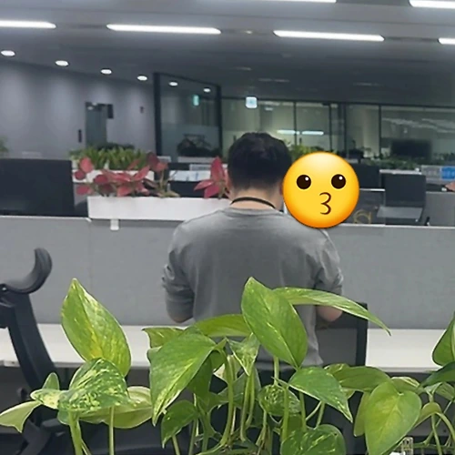 프로필 이미지