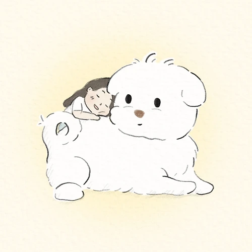 프로필 이미지