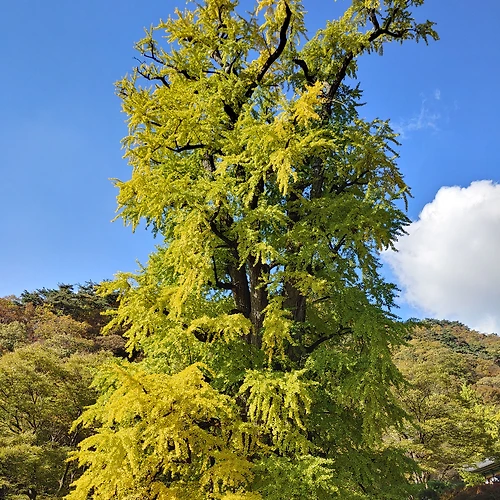 프로필