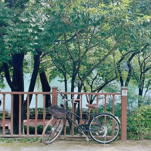 프로필 이미지
