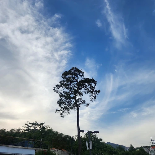 프로필