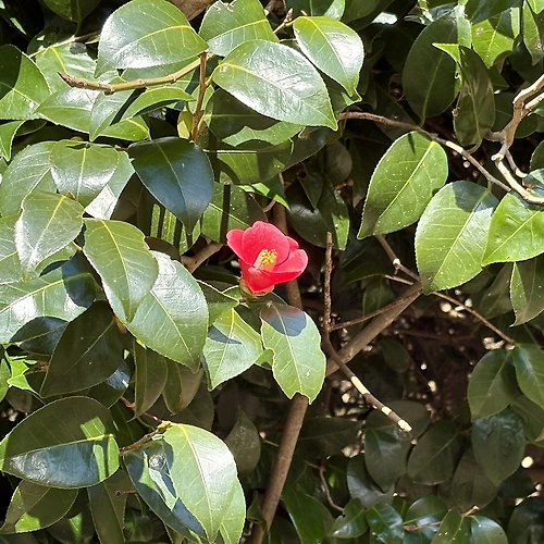 프로필