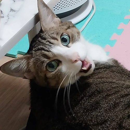 프로필 이미지