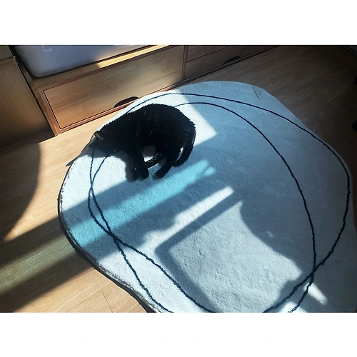 프로필