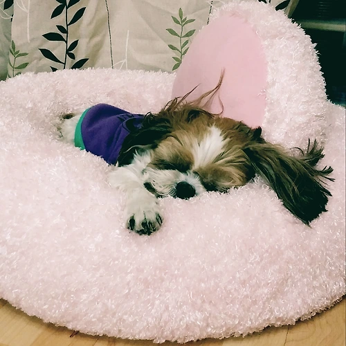 프로필 이미지