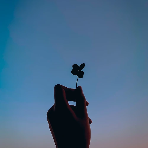 프로필 이미지