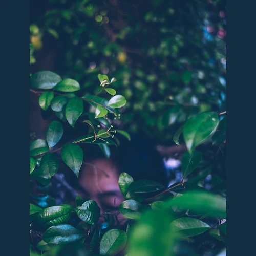 프로필 이미지