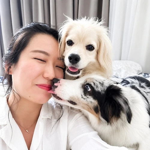 프로필 이미지