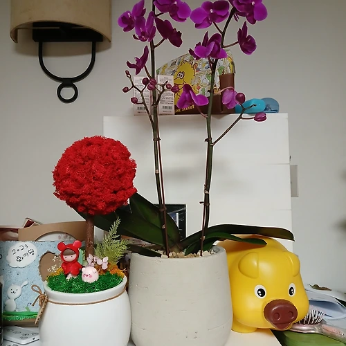 프로필 이미지