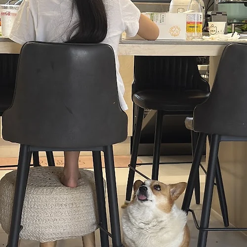 프로필 이미지