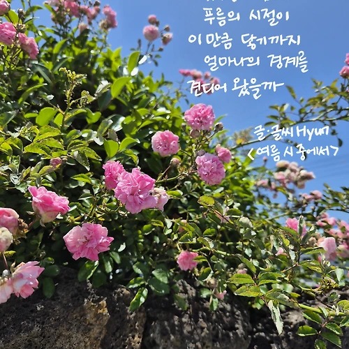 프로필