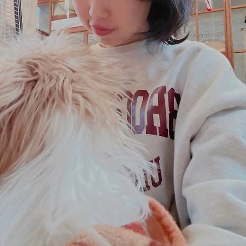 프로필 이미지