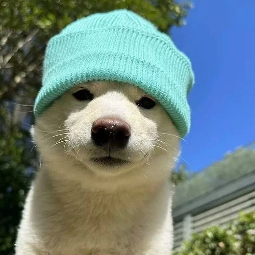 프로필 이미지