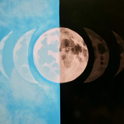 프로필 이미지