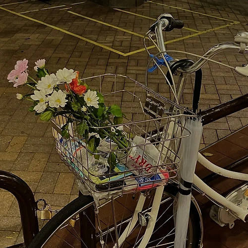 프로필 이미지