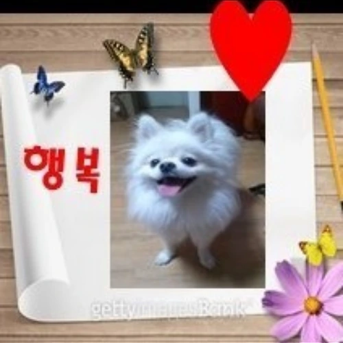 프로필 이미지