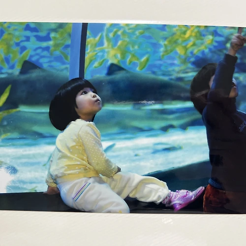 프로필