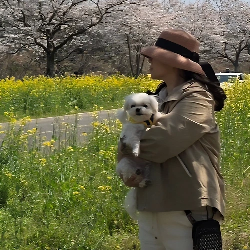 프로필 이미지