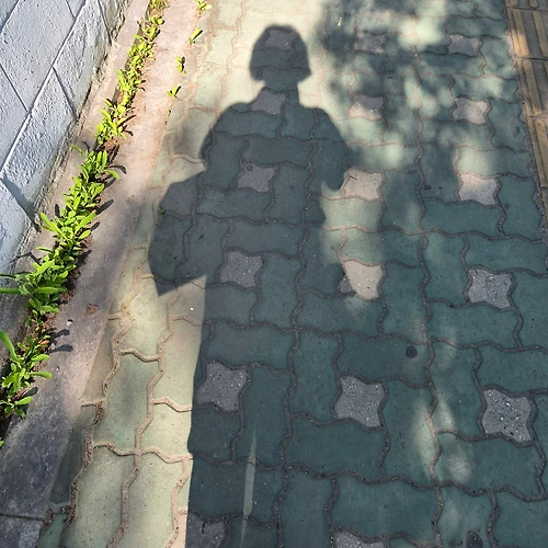 프로필