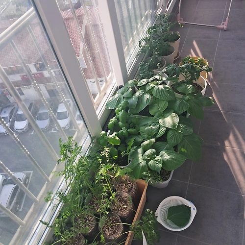 프로필 이미지