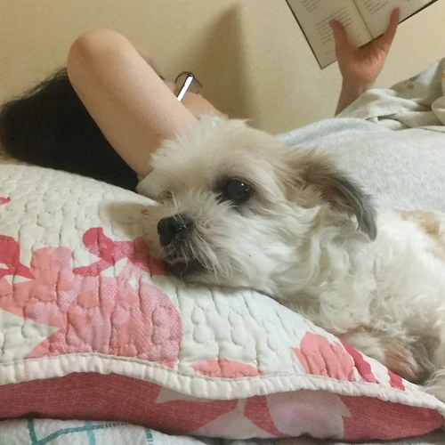 프로필 이미지