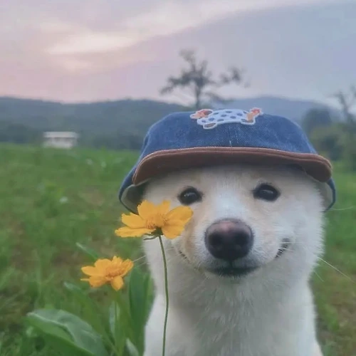 프로필 이미지