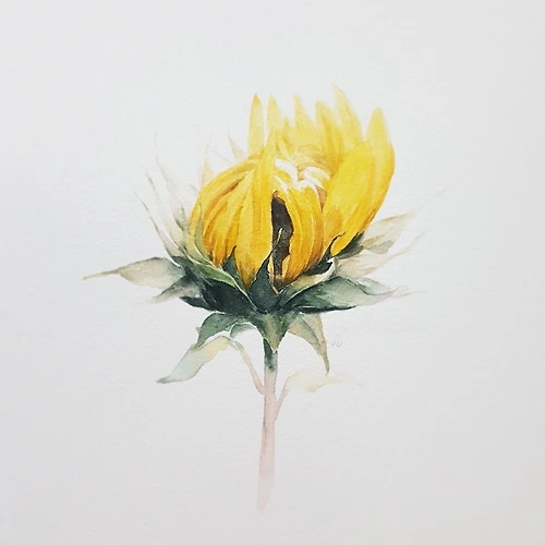 프로필 이미지