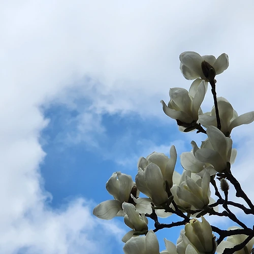 프로필