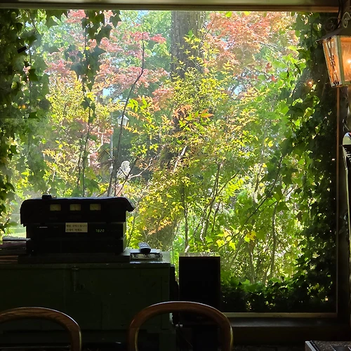 프로필 이미지