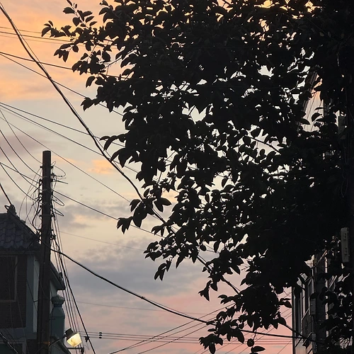 프로필 이미지