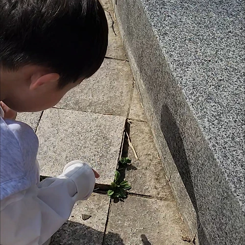 프로필