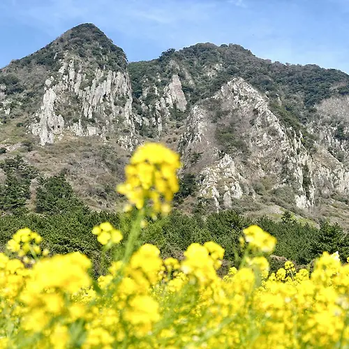 프로필 이미지