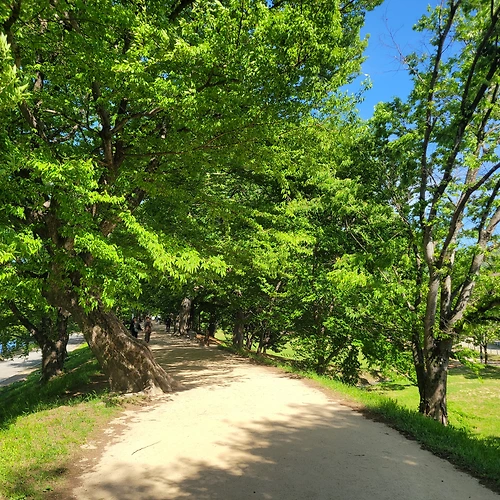 프로필
