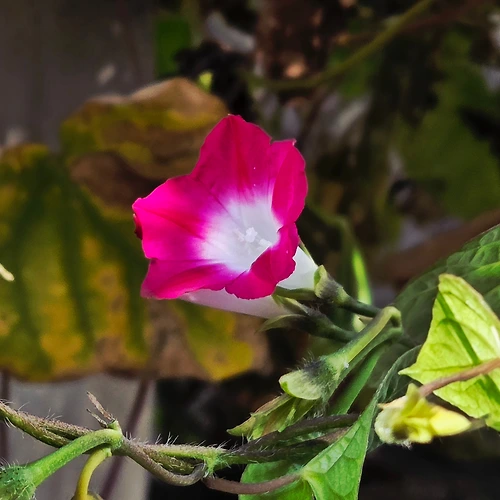 프로필 이미지