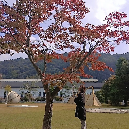 프로필 이미지