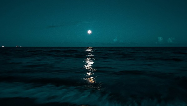 제19화 — 로 (路)