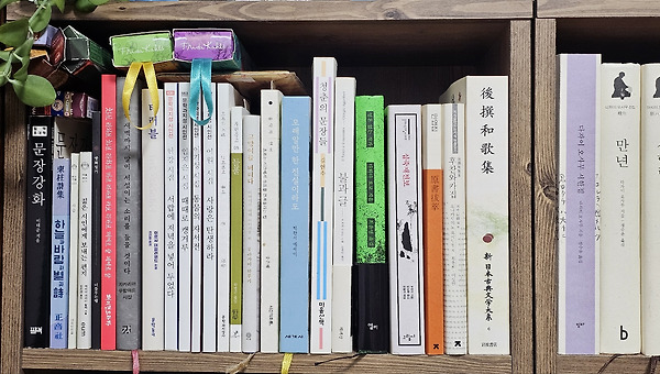 지금은 어떤 글을 쓰고 싶은가