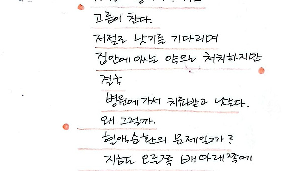 혈액순환