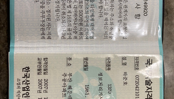 꿈꾸던 어른이 된 걸까?