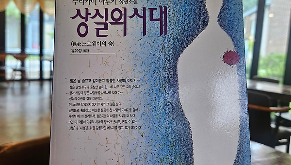 다시 읽은 상실의 시대